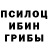 Псилоцибиновые грибы мицелий ryslan Ryslano