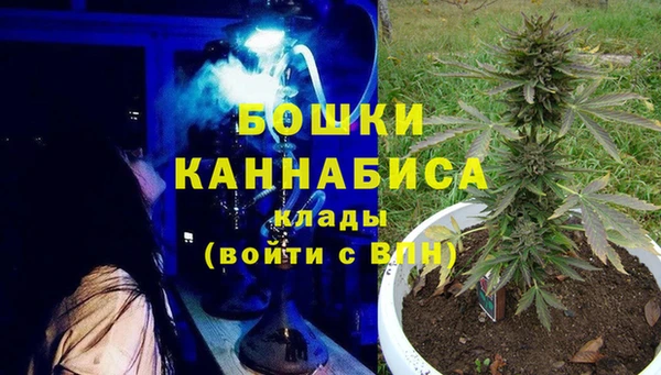 бошки Алексин