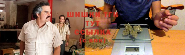 бошки Алексин