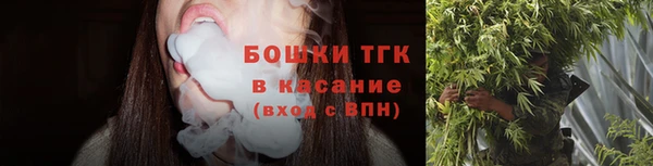 бошки Алексин