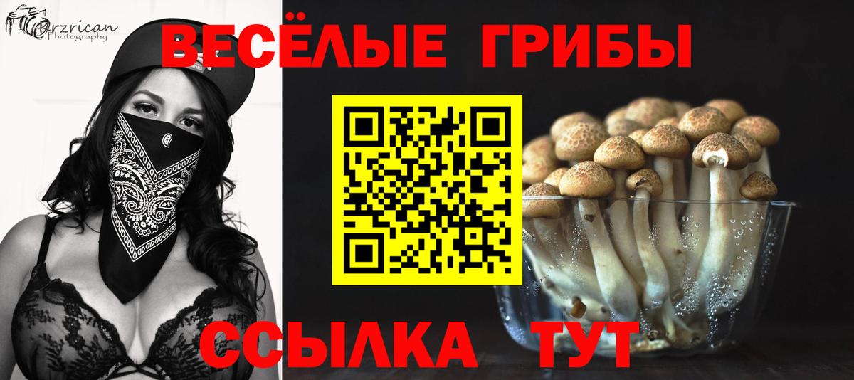 Ангарск  Псилоцибиновые грибы GOLDEN TEACHER  Вход с VPN 